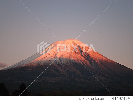 Shizuoka Prefecture, Asagiri Plateau, "Crimson Fuji" created by the setting sun. Shizuoka Prefecture, Asagiri Plateau, "Crimson Fuji" created by the setting sun. 141497499