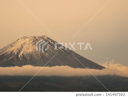 靜岡縣朝霧高原:富士山準備迎接夜晚的到來。 靜岡縣朝霧高原:富士山準備迎接夜晚的到來。 141497502
