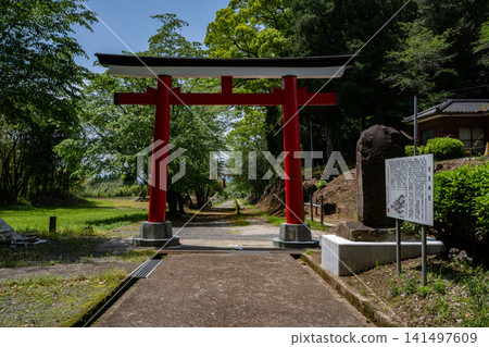 Scenery of the approach to Sumiyoshi Shrine Scenery of the approach to Sumiyoshi Shrine 141497609