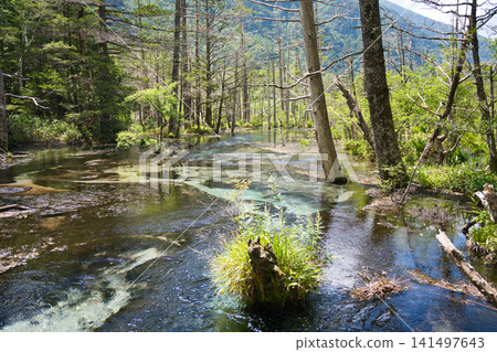 The mystical wetland scenery of Kamikochi, where dead trees stand and the clear water surface intertwine (Part 2) The mystical wetland scenery of Kamikochi, where dead trees stand and the clear water surface intertwine (Part 2) 141497643