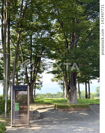 夏日里,樹蔭下矗立著一個公用電話亭。 夏日里,樹蔭下矗立著一個公用電話亭。 141497731