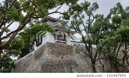 Okayama castle moon view oar Okayama castle moon view oar 141497950