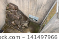 Okayama Castle: Stone walls from the time of its construction Okayama Castle: Stone walls from the time of its construction 141497966