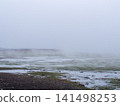 The sea at low tide, shrouded in fog 141498253