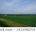 The prairie 141498259