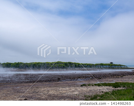 tidal flat fog 141498263
