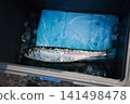 冷藏箱裡的沙丁魚 141498478
