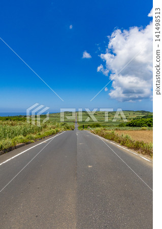 喜界島:一條兩旁種滿甘蔗的道路 喜界島:一條兩旁種滿甘蔗的道路 141498513