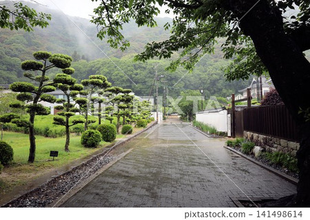 Yoshika Park [Iwakuni City, Yamaguchi Prefecture] 141498614