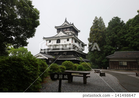 Iwakuni Castle [Iwakuni City, Yamaguchi Prefecture] 141498647