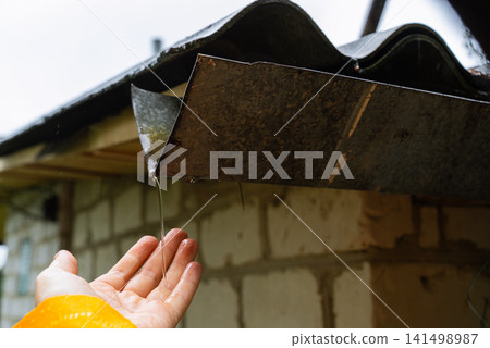 Person's hand checks the water flow beneath the gutter. Outdoor home environment with garden vegetation and green foliage in the blurred background. Metal roofing components and a storage container Person's hand checks the water flow beneath the gutter. Outdoor home environment with garden vegetation and green foliage in the blurred background. Metal roofing components and a storage container 141498987