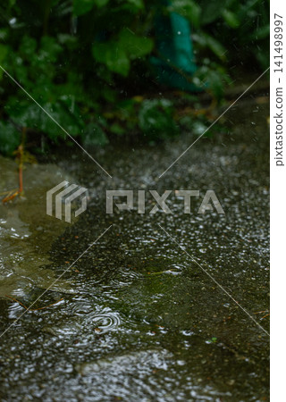 Concept of rainwater harvesting, water conservation, sustainable resource management, eco-friendly living and efficient use of natural rainfall. The scene shows dripping water from residential roofing Concept of rainwater harvesting, water conservation, sustainable resource management, eco-friendly living and efficient use of natural rainfall. The scene shows dripping water from residential roofing 141498997