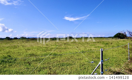 Vast pastures in Okinawa Prefecture Vast pastures in Okinawa Prefecture 141499128