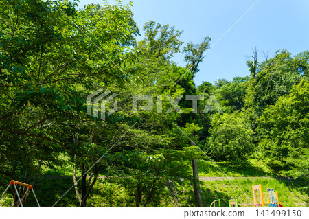 A summer scene I found during a walk. A summer scene I found during a walk. 141499150