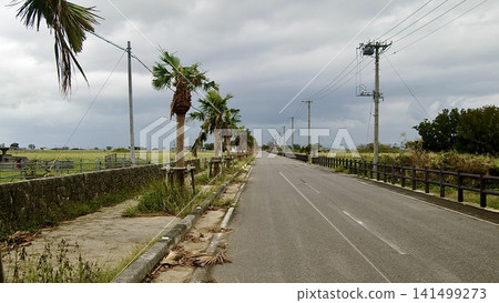 Main roads in Okinawa Prefecture Main roads in Okinawa Prefecture 141499273