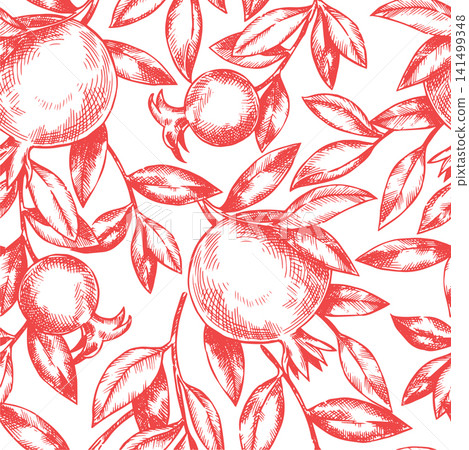 Seamless pattern of pomegranate fruits and branches. Sketch illustration. Vintage drawing. 141499348