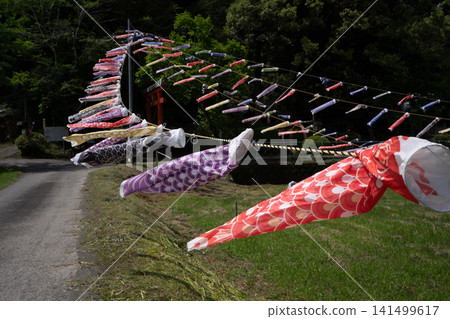 青木神社(秀樹市末吉町)的鯉魚旗 青木神社(秀樹市末吉町)的鯉魚旗 141499617