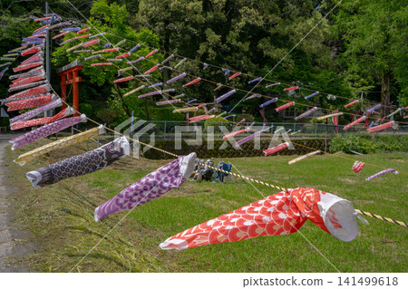 Carp streamers at Aoki Shrine (Sueyoshi-cho, Soo City) Carp streamers at Aoki Shrine (Sueyoshi-cho, Soo City) 141499618