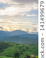 ecology travel with camping outdoor relax in rice field at chiangmai thailand in raining season 141499679