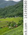 ecology travel with camping outdoor relax in rice field at chiangmai thailand in raining season 141499680