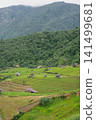 ecology travel with camping outdoor relax in rice field at chiangmai thailand in raining season 141499681