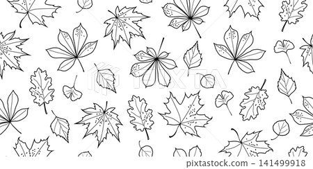 Seamless pattern with black line art autumn leaves on white background 141499918