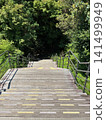 Stairs to Shiraito Falls 141499949