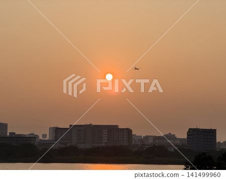 飛機飛越金色的夕陽天空 飛機飛越金色的夕陽天空 141499960