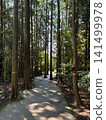 Walking trail to Shiraito Falls 141499978