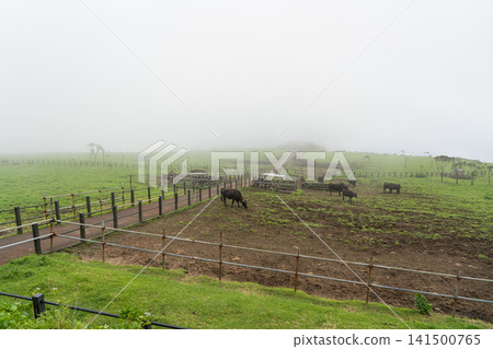 Hachijo Fuji Fureai Ranch Hachijo Fuji Fureai Ranch 141500765