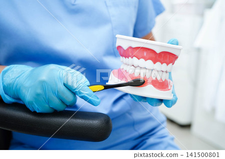 Doctor clean teeth denture with toothbrush for teach patient and dentist studying about dentistry. Doctor clean teeth denture with toothbrush for teach patient and dentist studying about dentistry. 141500801
