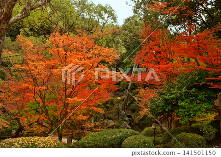 Wakayama Castle, Nishinomaru Garden in Autumn Wakayama Castle, Nishinomaru Garden in Autumn 141501150