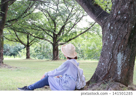 盛夏時節,幾位老年婦女在樹蔭下享受清涼。 盛夏時節,幾位老年婦女在樹蔭下享受清涼。 141501285