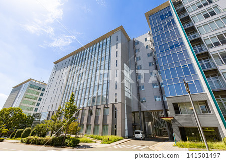 大阪大學免疫學前沿研究中心(IFRec) 大阪大學免疫學前沿研究中心(IFRec) 141501497