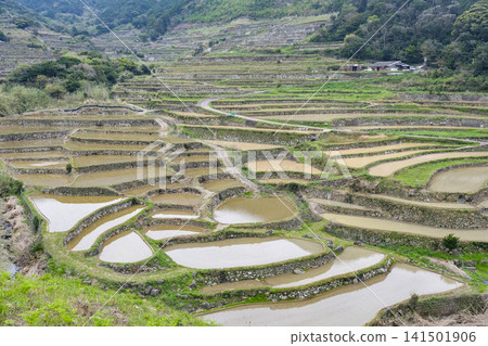 從小山頂上眺望平戶島春日梯田。 從小山頂上眺望平戶島春日梯田。 141501906