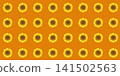 Sunflower pattern background, orange 141502563