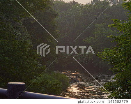 Landscape, evening view, river 141502779