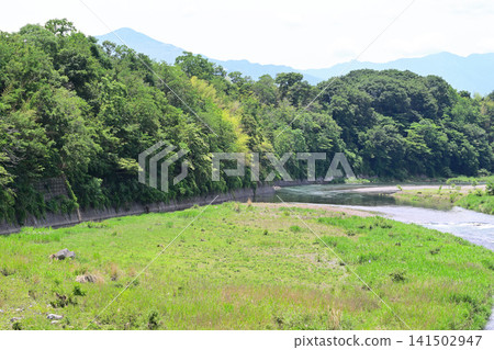 View of the Arakawa River upstream from Kuriyase Bridge in early summer. 141502947