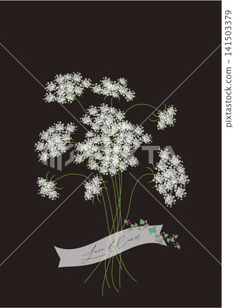 黑色背景上的蕾絲花束 141503379