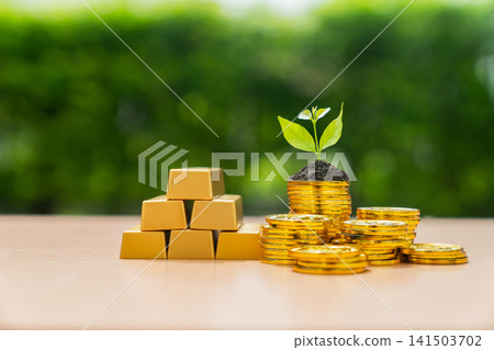 Growing plant on stack of gold coins with green background. Growing plant on stack of gold coins with green background. 141503702