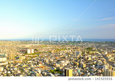 Shizuoka/Hamamatsu Shizuoka/Hamamatsu 141503916