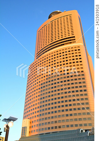 Shizuoka/Hamamatsu Shizuoka/Hamamatsu 141503918
