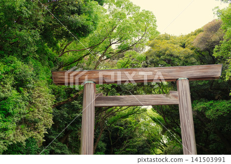 The large torii gate of Atsuta Shrine, surrounded by fresh greenery. The large torii gate of Atsuta Shrine, surrounded by fresh greenery. 141503991