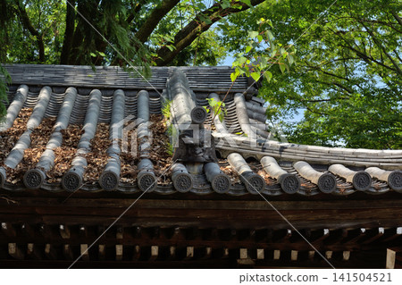 National Treasure: Iwashimizu Hachimangu Shrine National Treasure: Iwashimizu Hachimangu Shrine 141504521