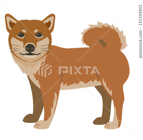 Animal Shiba Inu Animal Shiba Inu 141504802