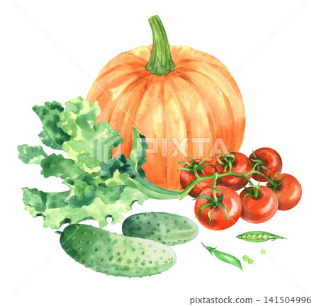 Pumpkin, tomatoes, cucumbers, peas and lattuce. Watercolor illustration. Handmade art work. For packaging design, cards, cover, prints, product labels and fabric. Pumpkin, tomatoes, cucumbers, peas and lattuce. Watercolor illustration. Handmade art work. For packaging design, cards, cover, prints, product labels and fabric. 141504996