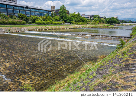 Summer scenery along the Kamo River, Kyoto City Summer scenery along the Kamo River, Kyoto City 141505211