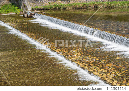 Kamo River scenery, Kyoto City Kamo River scenery, Kyoto City 141505214