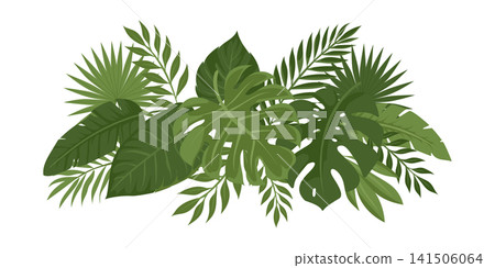 Lush green tropical leaves composition isolated on white background Lush green tropical leaves composition isolated on white background 141506064