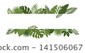 Two horizontal green tropical leaves borders isolated on white 141506067